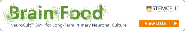 Brain Food: NeuroCult SM1 for Long-Term Primary Neuronal Culture